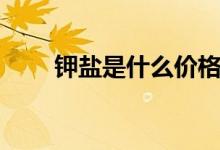 鉀鹽是什么價格（鉀鹽是什么意思）