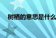 樹棲的意思是什么(樹棲的意思是什么)