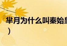 羋月為什么叫秦始皇后（羋月為什么叫羋八子）