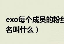 exo每個成員的粉絲名（EXO每個成員的粉絲名叫什么）