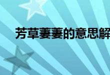 芳草萋萋的意思解釋（芳草萋萋的意思）