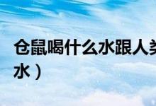 倉(cāng)鼠喝什么水跟人類的水一樣嗎（倉(cāng)鼠喝什么水）