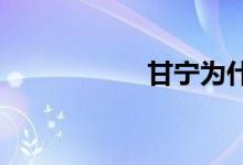 甘寧為什么叫錦帆賊