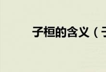 子桓的含義（子桓的含義是什么）