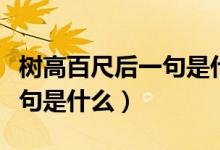 樹(shù)高百尺后一句是什么一年級(jí)（樹(shù)高百尺后一句是什么）