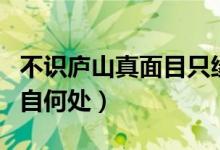 不識(shí)廬山真面目只緣身在此山中什么意思（出自何處）