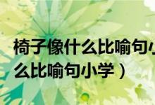 椅子像什么比喻句小學(xué)二年級(jí)上冊(cè)（椅子像什么比喻句小學(xué)）