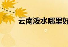 云南潑水哪里好（粵n牌是哪里的）