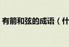 有箭和弦的成語(yǔ)（什么箭什么弦四個(gè)字成語(yǔ)）