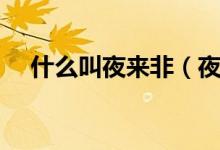 什么叫夜來非（夜來非什么意思什么梗）