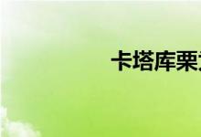 卡塔庫(kù)栗為什么叫卡二
