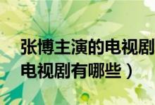 張博主演的電視劇坐88路回家（張博主演的電視劇有哪些）