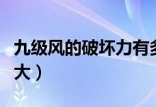 九級(jí)風(fēng)的破壞力有多強(qiáng)（九級(jí)風(fēng)的破壞力有多大）