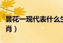 曇花一現(xiàn)代表什么生肖（曇花一現(xiàn)指的什么生肖）