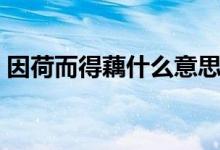 因荷而得藕什么意思(因荷而得藕什么意思)