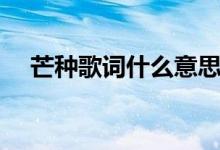芒種歌詞什么意思（芒種歌詞什么意思）