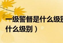 一級(jí)警督是什么級(jí)別工資是多少（一級(jí)警督是什么級(jí)別）