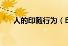 人的印隨行為（印隨行為是什么行為）