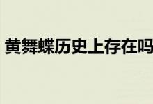 黃舞蝶歷史上存在嗎（黃舞蝶是誰歷史有嗎）