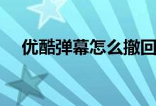 優(yōu)酷彈幕怎么撤回（優(yōu)酷彈幕怎么沒了）