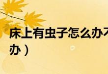 床上有蟲子怎么辦不用藥包（床上有蟲子怎么辦）