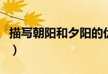 描寫朝陽和夕陽的優(yōu)美句子（描寫朝陽的成語）