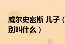 威爾史密斯 兒子（威爾史密斯的兩個兒子分別叫什么）