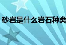 砂巖是什么巖石種類（砂巖是什么巖石種類）