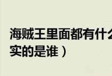 海賊王里面都有什么果實(shí)（海賊王里有鉆石果實(shí)的是誰）