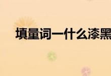 填量詞一什么漆黑（填量詞一什么臺(tái)階）