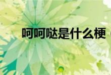 呵呵噠是什么梗（呵呵噠是什么意思）