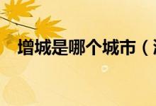 增城是哪個(gè)城市(浙c是哪個(gè)城市的牌照)