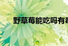 野草莓能吃嗎有毒嗎（野草莓能吃嗎）
