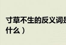 寸草不生的反義詞是啥（寸草不生的反義詞是什么）