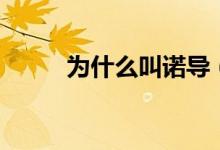 為什么叫諾導（為什么叫諾天王）