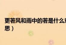 更著風(fēng)和雨中的著是什么意思（更著風(fēng)和雨.中的著是什么意思）