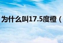 為什么叫17.5度橙(17.5度橙子是什么意思)