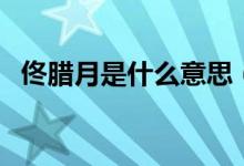 佟臘月是什么意思（佟臘月是什么電視?。?class=