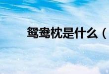 鴛鴦?wù)硎鞘裁矗x鴦?wù)硎鞘裁礀|西）