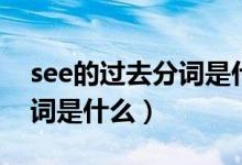 see的過去分詞是什么怎么讀（see的過去分詞是什么）