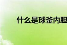 什么是球釜內(nèi)膽（什么是球衣退役）