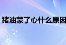 豬油蒙了心什么原因（豬油蒙了心什么意思）