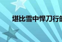 堪比雪中悍刀行的小說（堪比的意思）