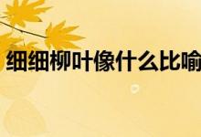 細細柳葉像什么比喻句（柳葉像什么比喻句）