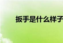 扳手是什么樣子（扳手是什么意思）