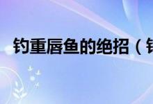 釣重唇魚的絕招（釣重唇魚的方法是什么）