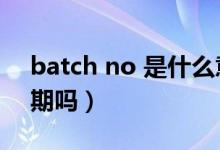 batch no 是什么意思（batch no是生產(chǎn)日期嗎）