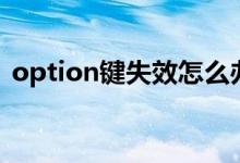 option鍵失效怎么辦（option鍵是哪個(gè)鍵）
