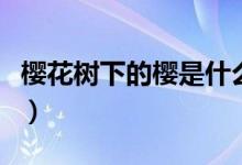 櫻花樹下的櫻是什么意思（櫻樹花是什么意思）