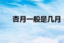 杏月一般是幾月（杏月一般是指幾月）